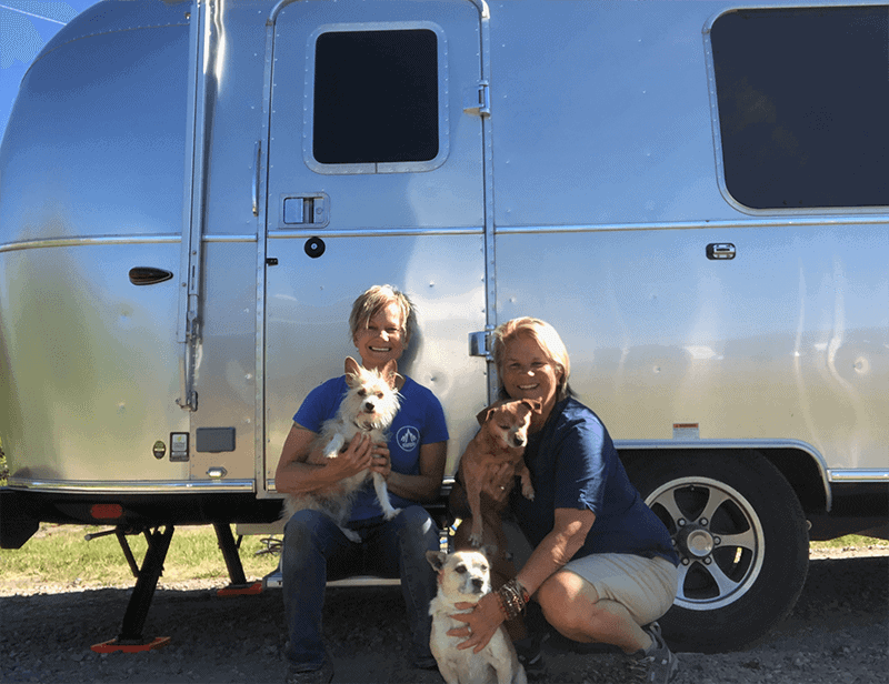 7 Tips Every Dog Lover Should Know Before RVing with Dogs - 