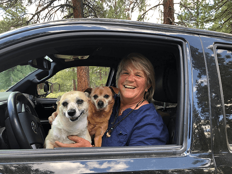 Photo of Deb and her pups in their truck.