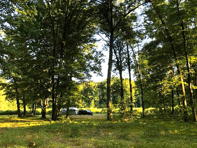 Our Harvest Hosts campsite on a blueberry farm in Michigan |@Deborah Dennis