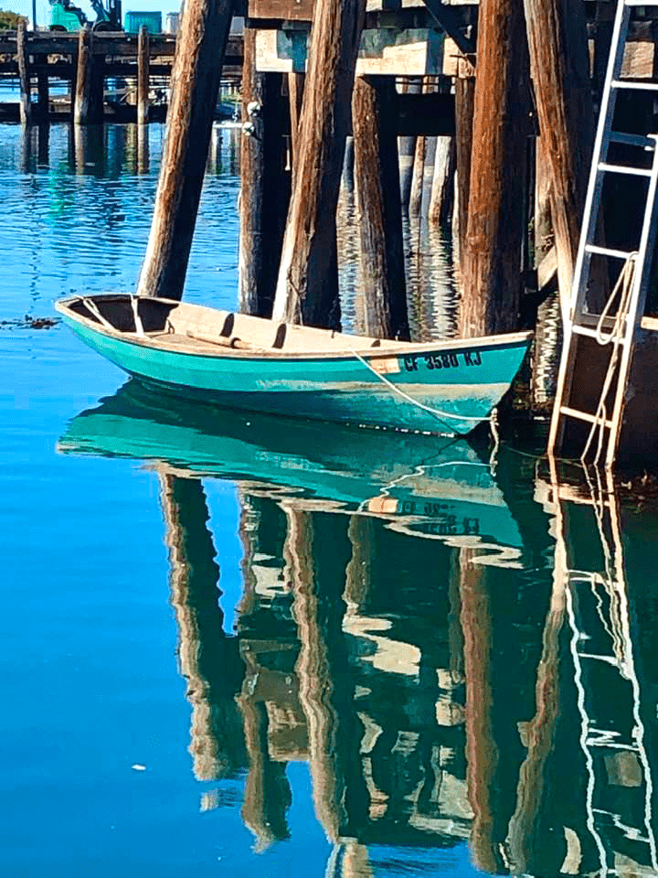 Travel Writing Portfolio | First-Person Nature & Solo Travel Stories 19 MorroBayRowBoat