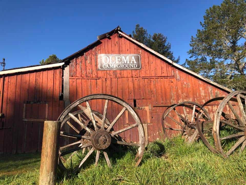 Travel Writing Portfolio | First-Person Nature & Solo Travel Stories 10 Olema Campground