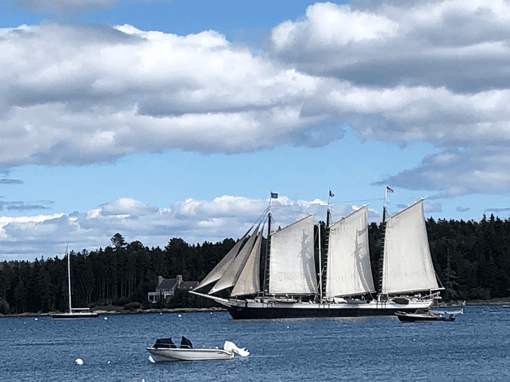 Best Bucket List Ideas: #14 Try the Ultimate Sailing Adventure on a Windjammer Tall Ship