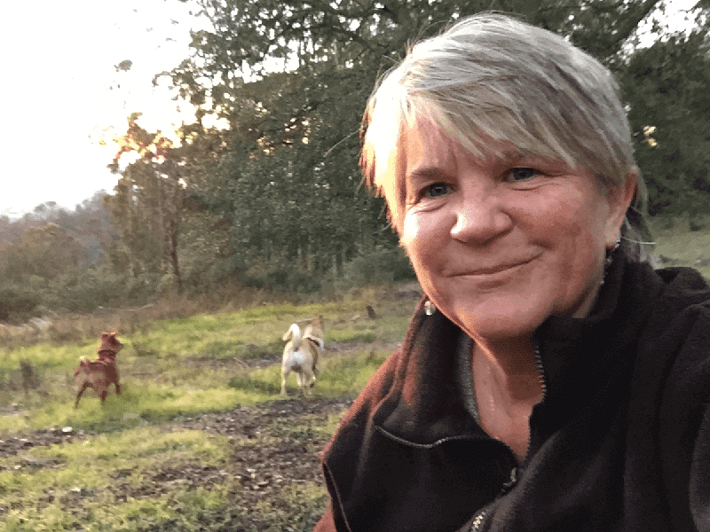 Travel Writing Portfolio | First-Person Nature & Solo Travel Stories 1 Deb SibleywithPups 800