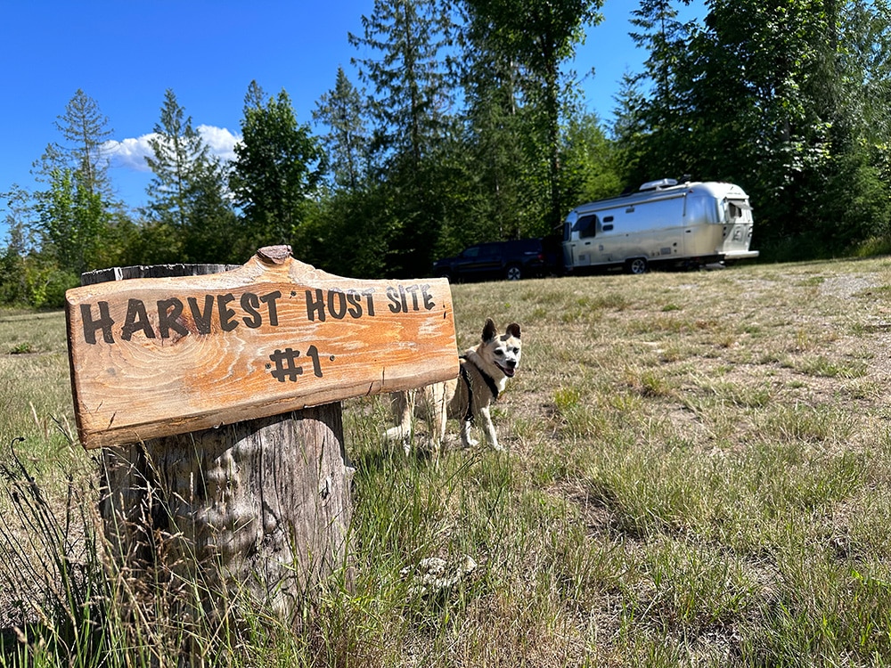 RV Black Tank Maintenance - Unique RV Camping with Harvest Hosts