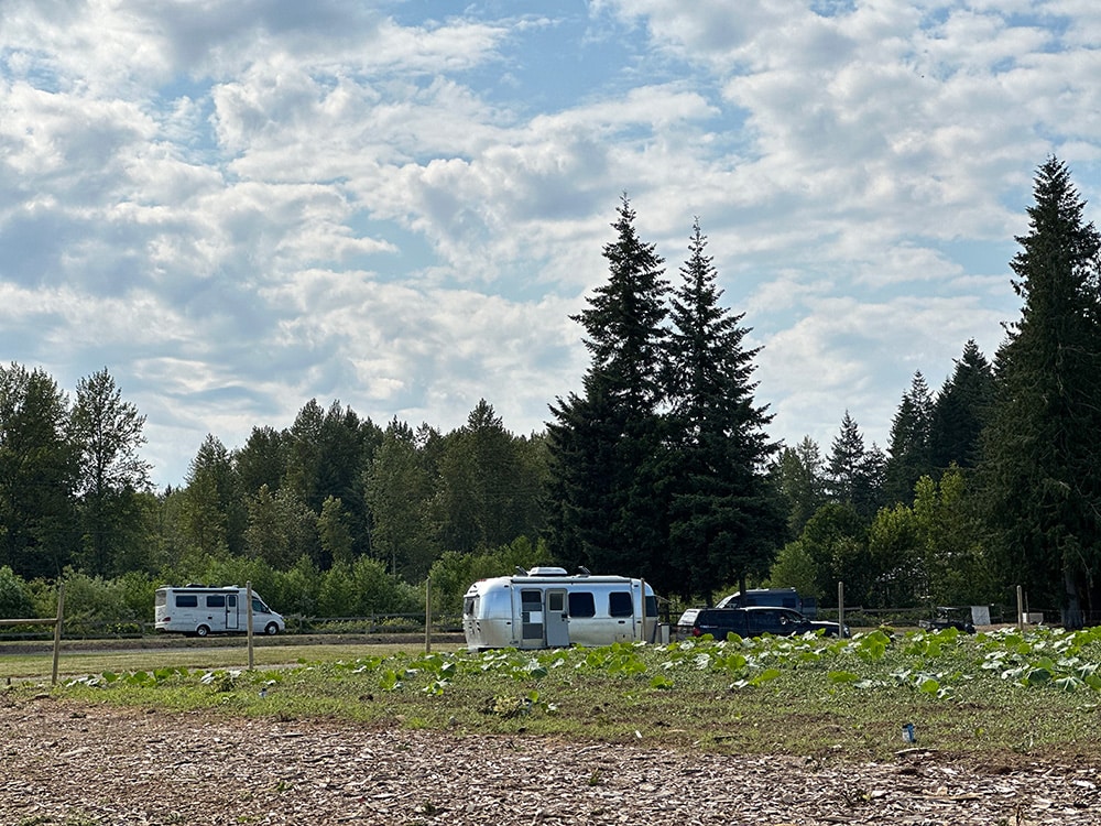 Organize Your RV's Bathroom: Tips for Maximizing Space - Unique RV Camping  with Harvest Hosts