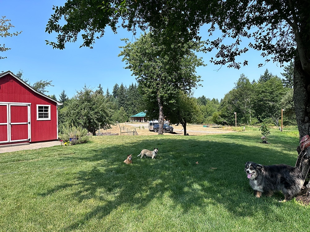 Organize Your RV's Bathroom: Tips for Maximizing Space - Unique RV Camping  with Harvest Hosts