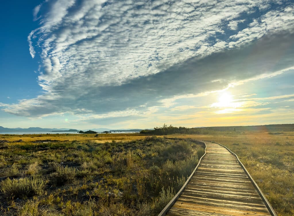 A sunrise walk along the boardwalk along Mono Lake  | © 2023 Deborah Dennis