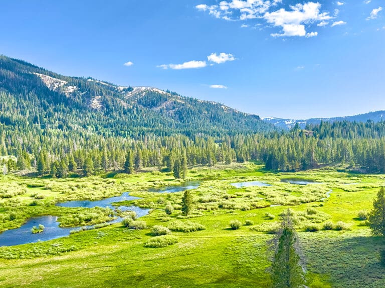 Tahoe National Forest, Perazzo Meadows on the Little Truckee River.