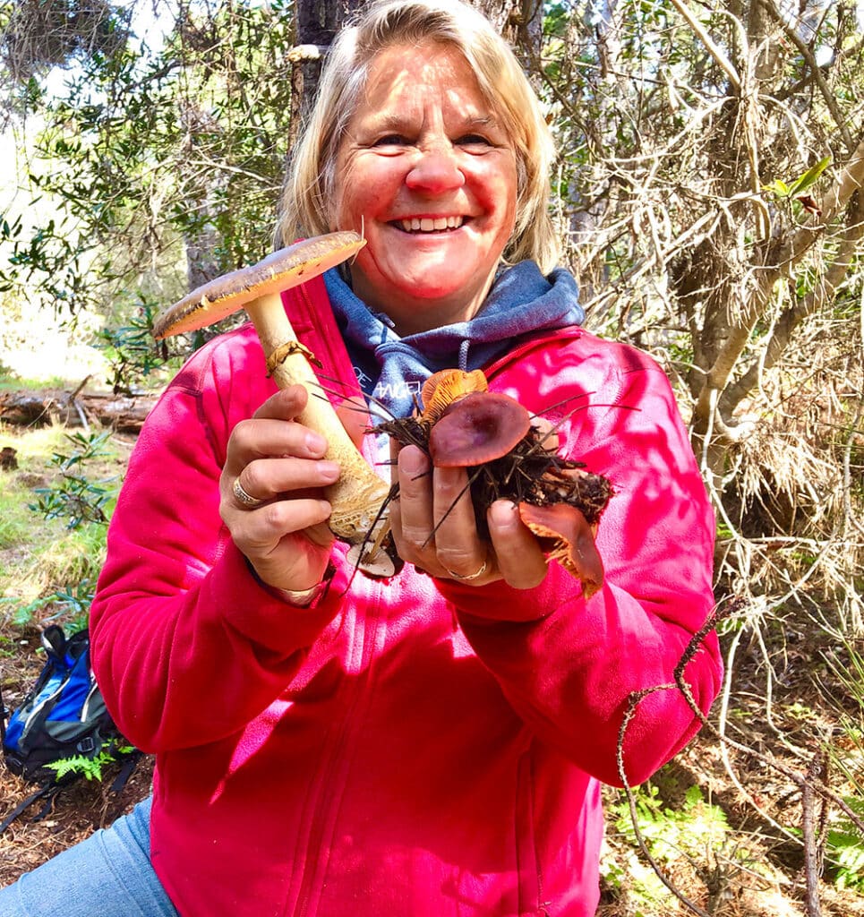 Guided Foraging Experiences
