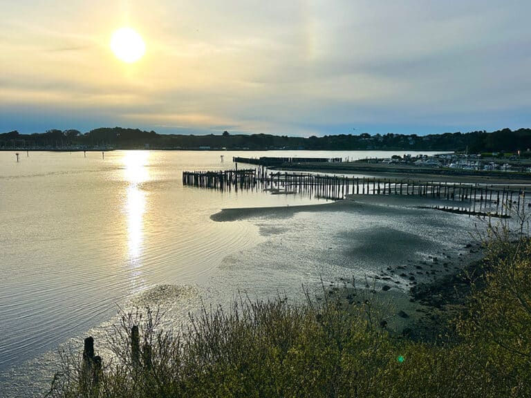 Why Guided Foraging Is Becoming One of California’s Most Meaningful Coastal Travel Experiences