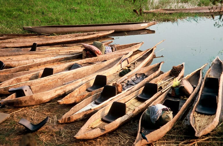 Running Toward Lions: A Mokoro Canoe Journey Into Botswana’s Okavango Delta
