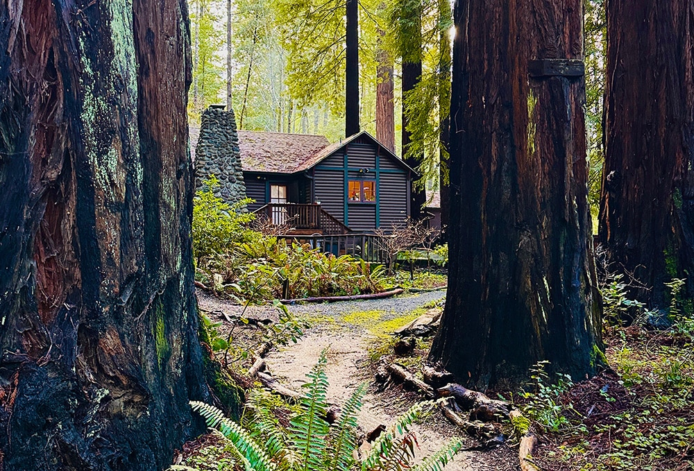 Cabin inRedwoods SM