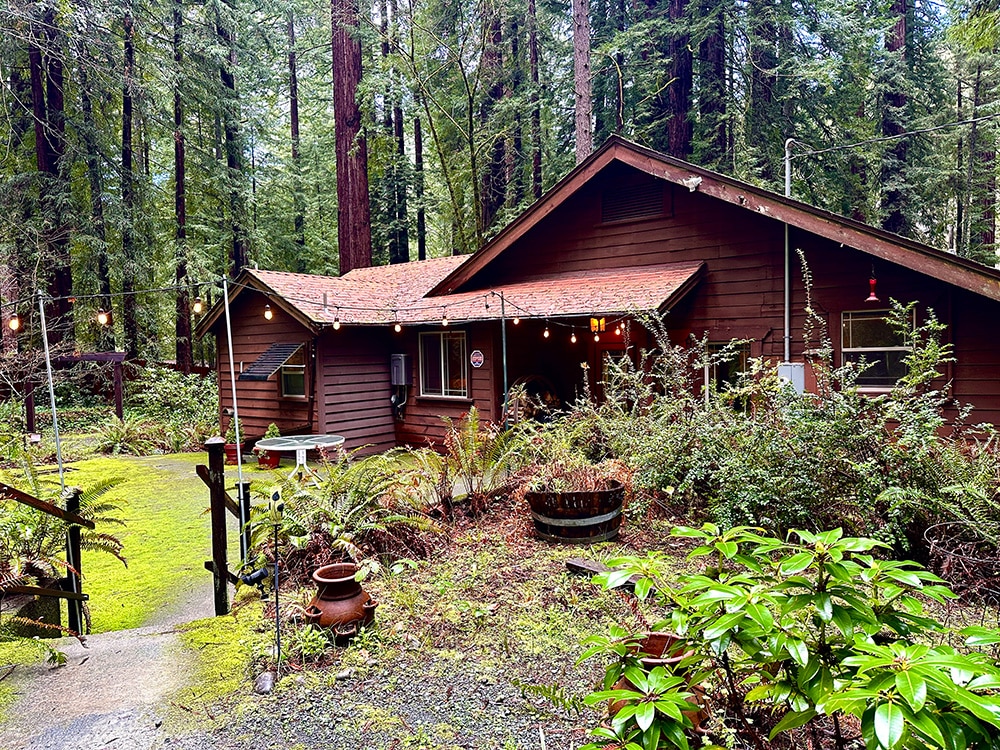 Redwood Cabin in Northern California